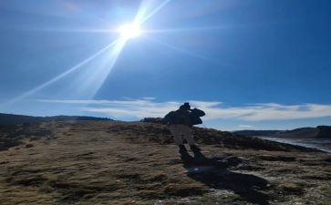 飞向蓝天的恐龙教案通用8篇