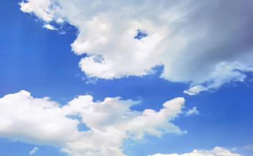 飞向蓝天的恐龙教案8篇