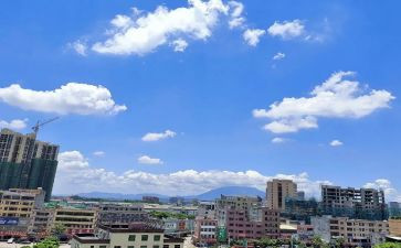 《飞向蓝天的恐龙》教案模板6篇