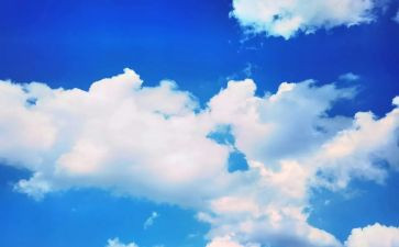 飞向蓝天的恐龙教案优秀7篇