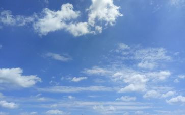 飞向蓝天的恐龙教案5篇