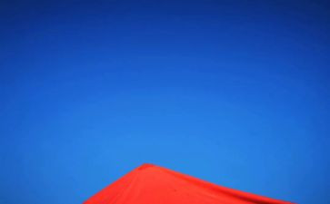 《飞向蓝天的恐龙》教案推荐6篇