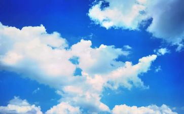 《飞向蓝天的恐龙》教案6篇