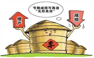 粮食节约演讲稿最新6篇