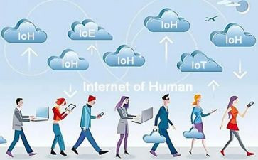 2024互联网调查报告6篇