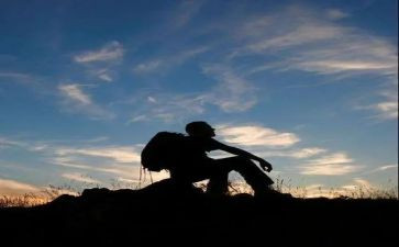 苦儿流浪流浪记读后感优质8篇