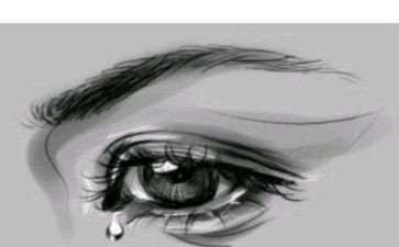 他流泪了,作文参考7篇