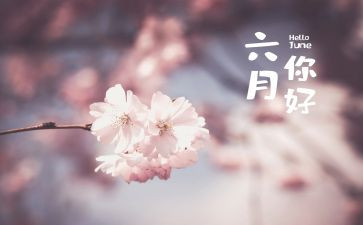 幼儿园六月个人总结8篇