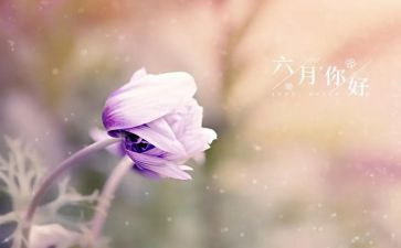 幼儿小班六月工作总结7篇