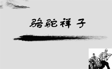 骆驼详子读书心得通用5篇