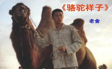 骆驼详子的读后感精选6篇