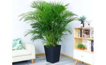 幼儿园找绿色教案8篇