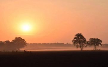 中考成长类的满分作文参考8篇