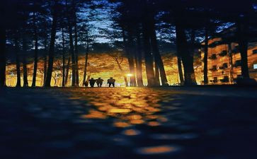 2024中考满分作文优秀7篇