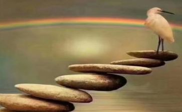 关于磨炼的作文6篇