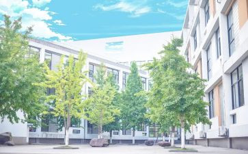 母校作文400字最新5篇