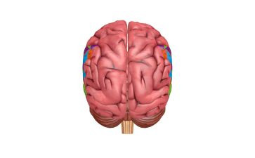 脑外科出科自我鉴定精选5篇