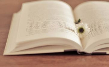 的那一刻作文6篇