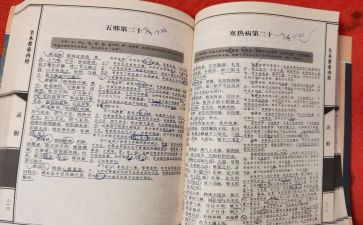 内经的心得体会5篇