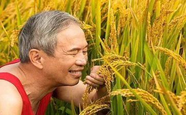 农夫与马的读后感通用6篇