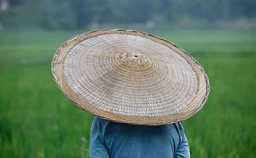 《农夫与蛇》的读后感5篇