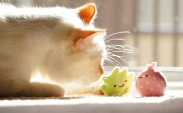 温暖的人作文800字参考6篇