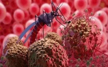 疟疾日活动总结推荐7篇