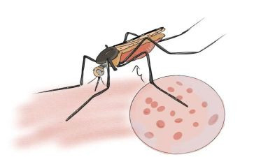 疟疾日活动总结5篇