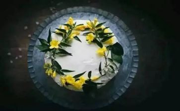 品味苦作文优质8篇