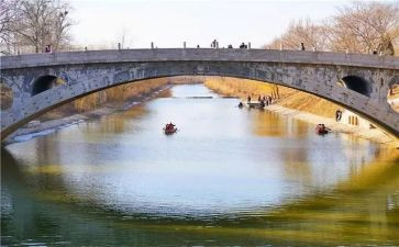 语文桥教案优质6篇