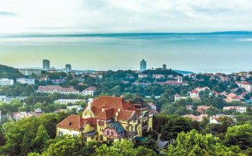 2024年青岛作文最新7篇