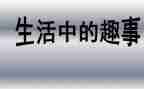 初三暑假趣事作文8篇