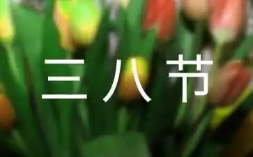 2024年三八节活动方案范文8篇