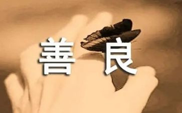 慈善工作总结优质5篇(