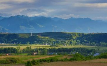 高考陕西2024作文5篇