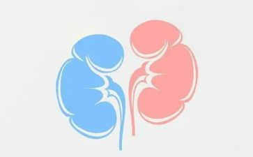 肿瘤肾内科自我鉴定7篇