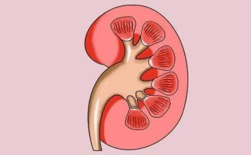 肾内科护理工作计划优秀6篇