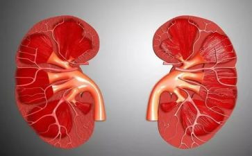 肾内科护士长工作计划参考5篇