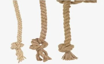 大班《跳绳》教案通用6篇