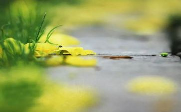 生命安全教育教案7篇