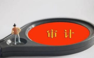 审计助理的工作总结5篇