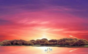 印象深刻的事作文300字7篇