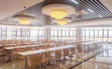食堂自查报告范文优质5篇