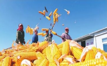 军训收获及心得7篇