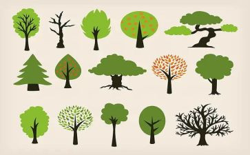 幼儿植树节活动总结7篇