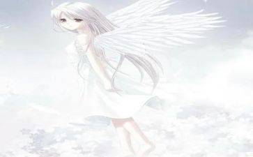 天使的翅膀读后感7篇