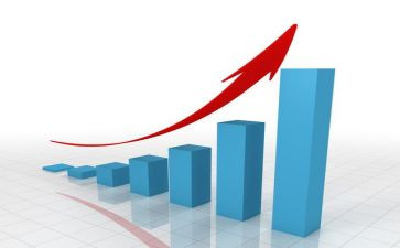 2024投资者调查报告6篇