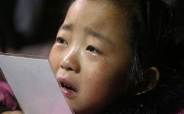 2024感动观后感优秀5篇