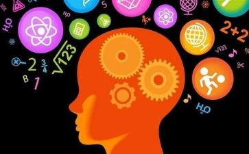 树的记忆读后感7篇