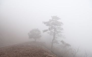 雾西湖作文模板8篇